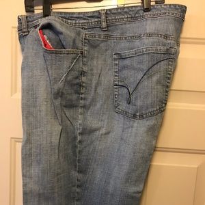 Jeans by Lane Bryant